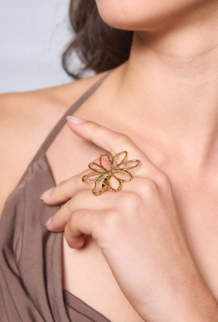 Anillos
